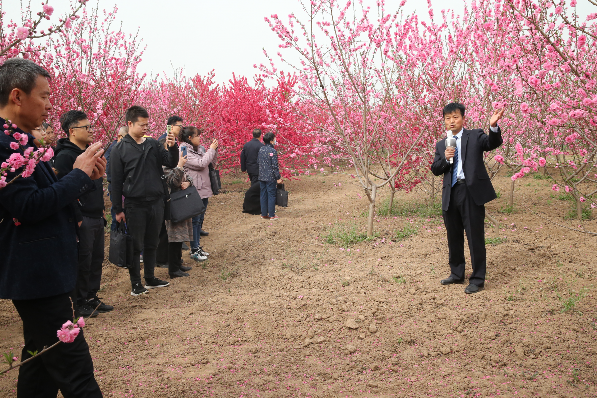 正在上传... 1555fdef04b6ef960bad44c1da402ecf.png