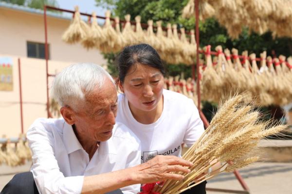 陕西杨凌职院两个小麦新品种通过国审 陕西杨凌职院两个小麦新品种通过国审