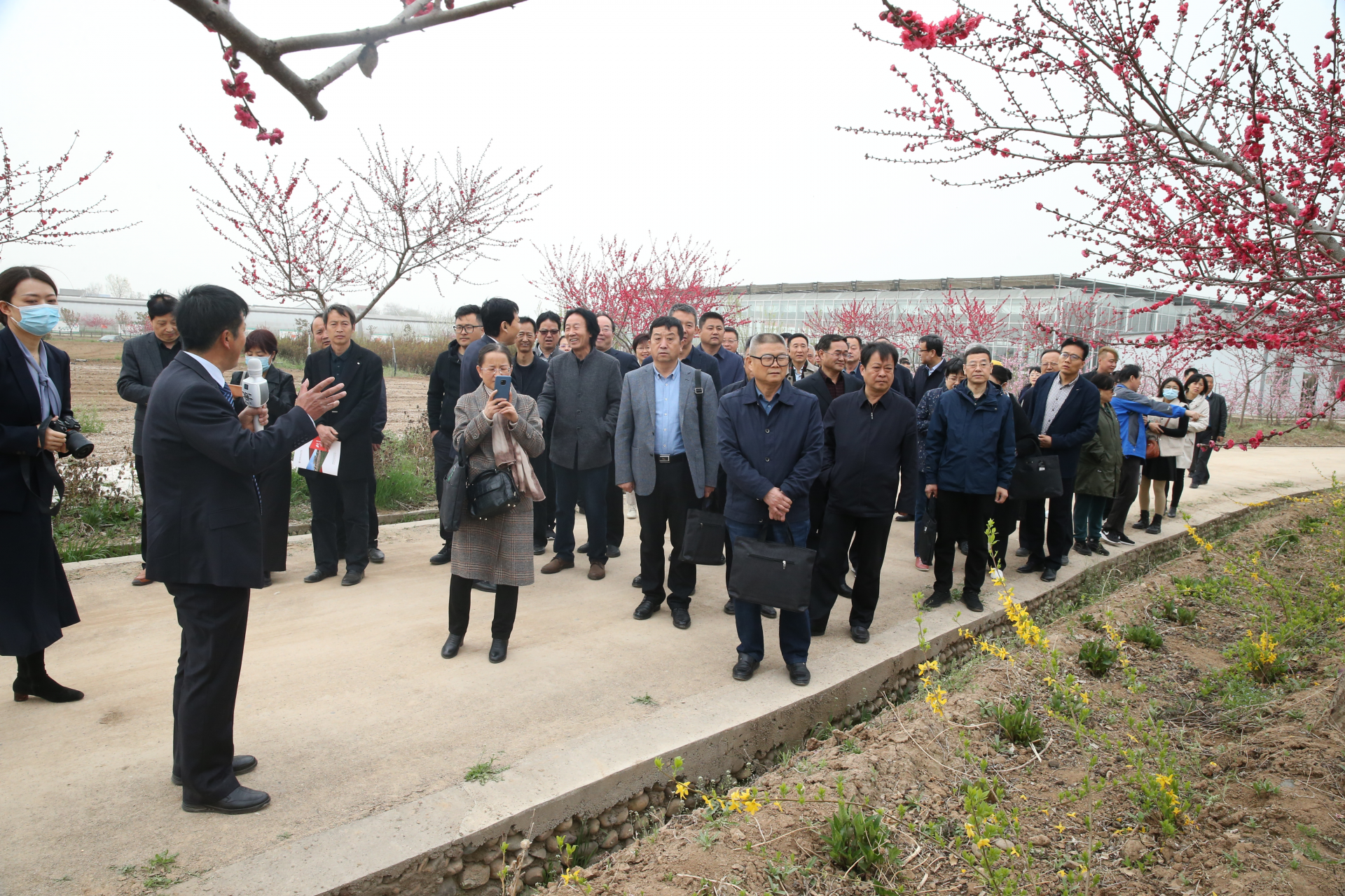 正在上传... 33b5f4fcde7b236aae1dd775c954afdb.png